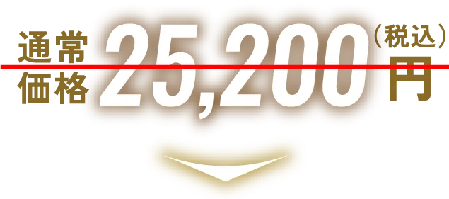 通常価格25,200円